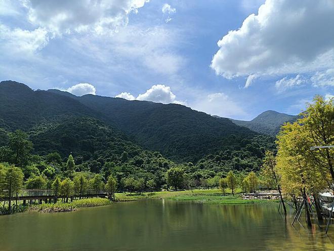 明年经济信号已至：解读市场新动向与经济新趋势